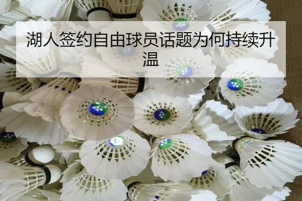 湖人签约自由球员话题为何持续升温